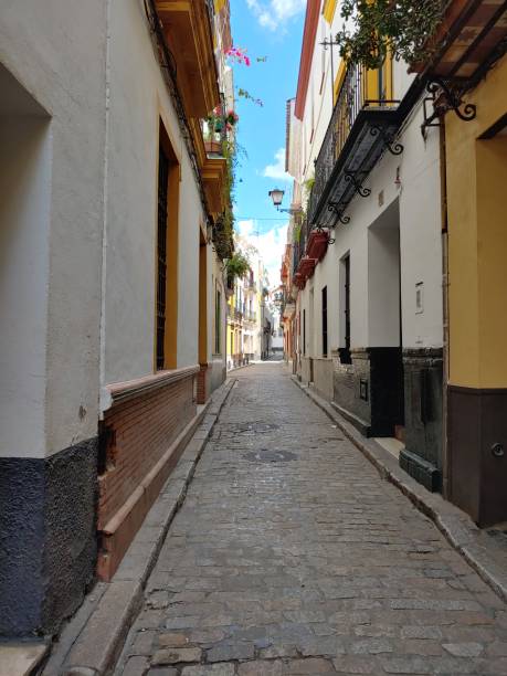istock Loss in the street 1145524747