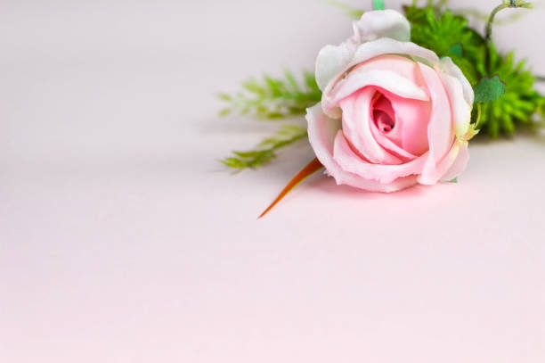 istock Mothers Day background with pink artificial rose and copy space 1145526442