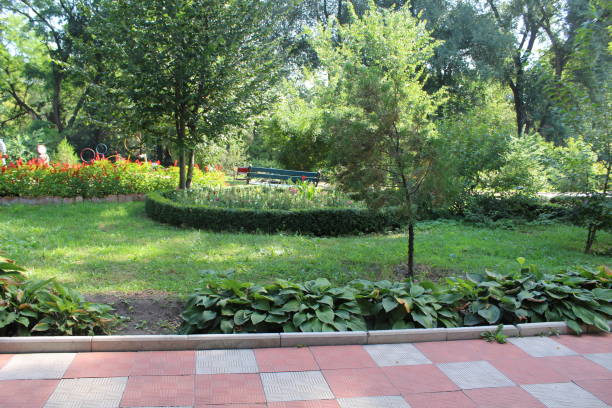 istock Beautiful blooming garden in the park 1145528957