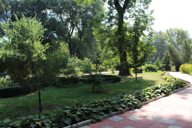 istock Beautiful blooming garden in the park 1145528980