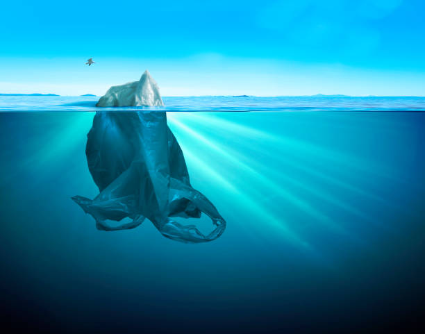 istock iceberg of trash 1145529854