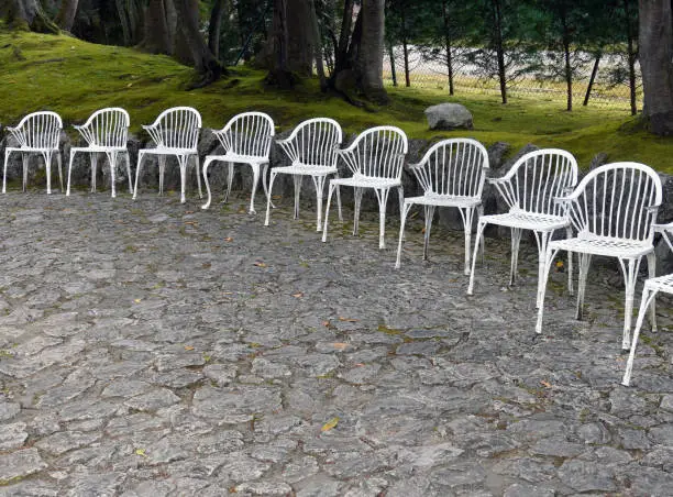 A curving line of white, iron garden chairs in a park.
