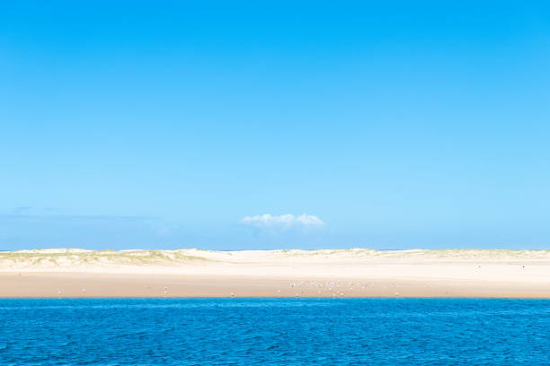 View over beautiful white sandy beach in Australia
