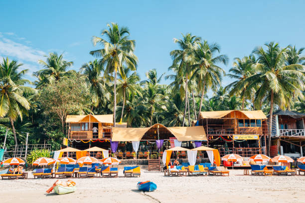 Goa, India - December 21, 2017 : Palolem beach with tropical palm trees