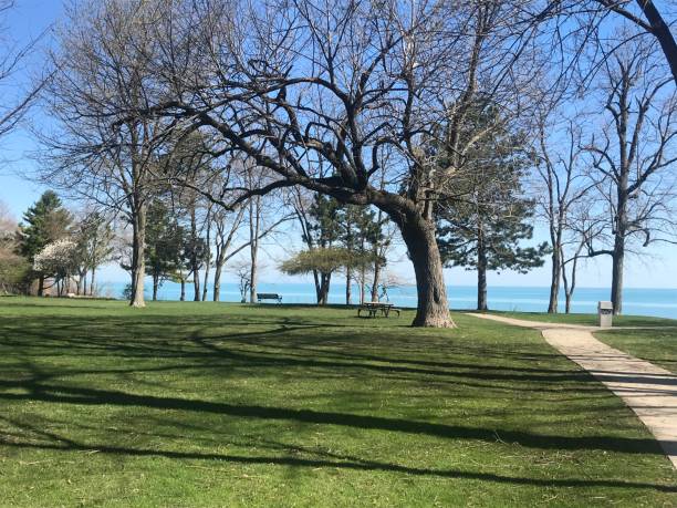 istock Spring day at the park along Lake Michigan 1145537722