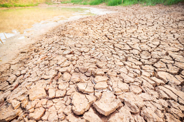 istock Cracked soil in the pond, drought 1145546234