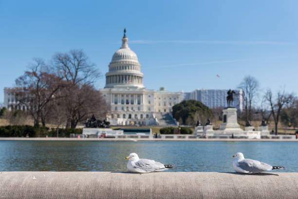 istock West facade of US Capitol Building in Washington DC 1145556209