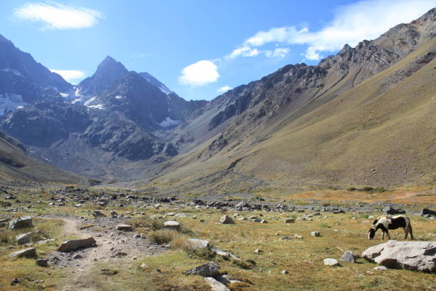 istock El Morada Natural Monument, Cajon del Maipo, Chile. 1145556884