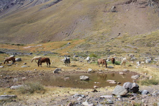 istock El Morada Natural Monument, Cajon del Maipo, Chile. 1145557419