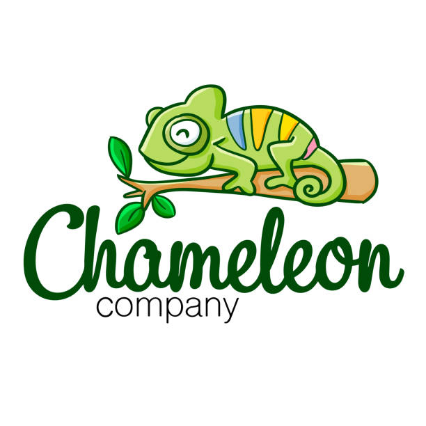 logo for chameleon store or company Cute and funny logo for chameleon store or company chameleon stock illustrations