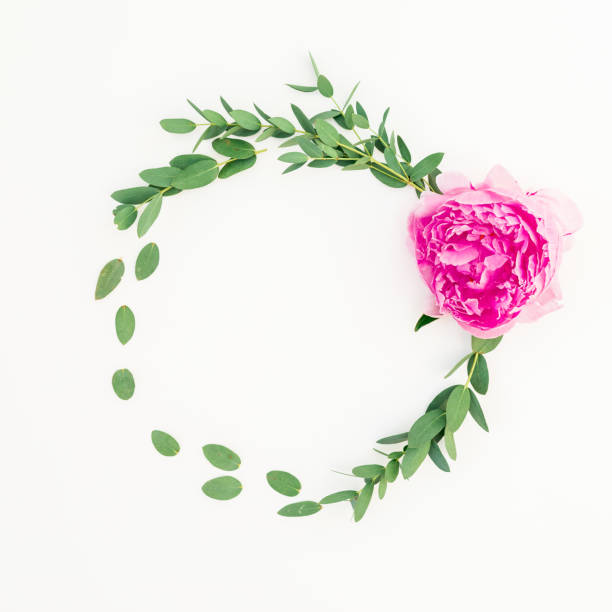 istock Floral round frame of pink peony flower, hypericum and eucalyptus on white background. Flat lay, top view 1145567470