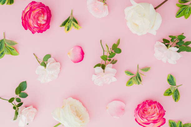 istock Floral pattern with roses and leaves on pink background. Flat lay, top view 1145567498