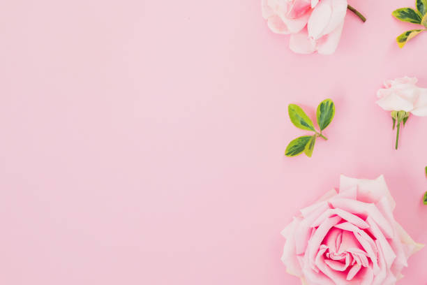 istock Floral frame with roses and leaves on pink background. Flat lay, top view 1145567515