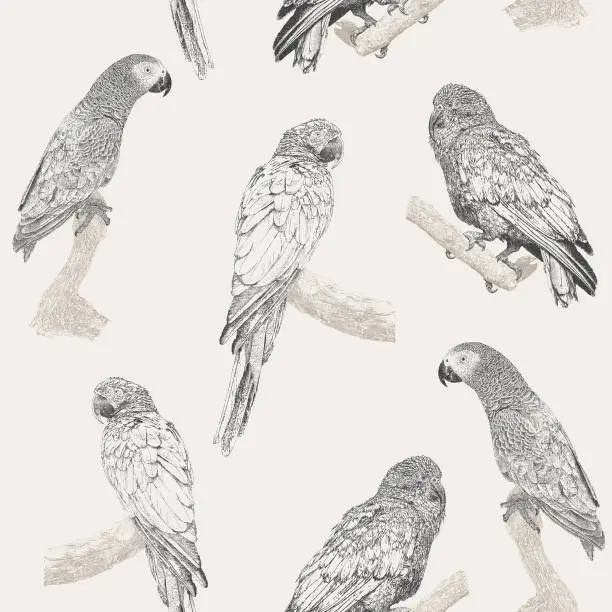 Vector illustration of Parrot Seamless Repeat Pattern