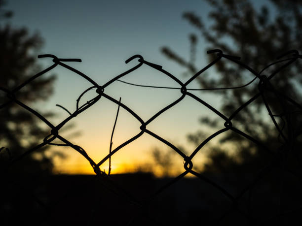 The fence and the evening sunset. Silhouette of trees in the yard The fence and the evening sunset. Silhouette of trees in the yard. Village wood and wire fence designs pictures stock pictures, royalty-free photos & images