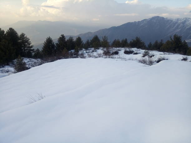 istock Beautiful look of snow 1145583432