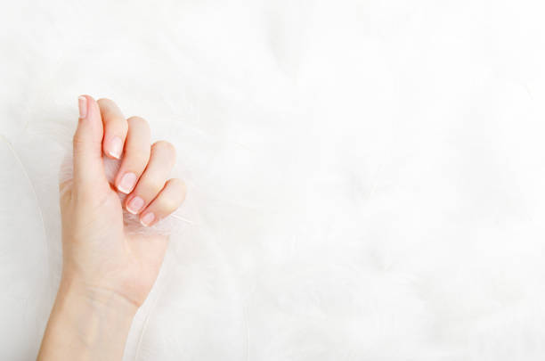 Female hand on a white background with feathers. Concept manicure, beauty services. Copy space, top view, flat lay