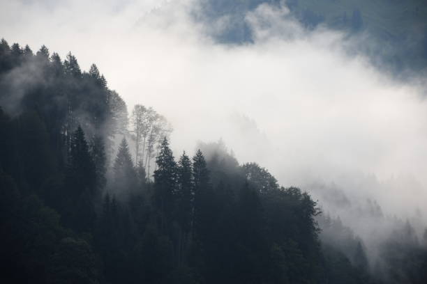 istock Morning mist near Schoppernau 1145585513