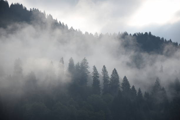 istock Morning mist near Schoppernau 1145585535