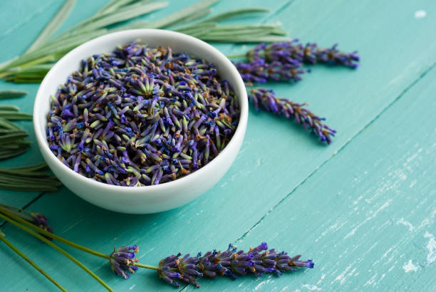 istock Fresh lavender flowers crop 1145589612