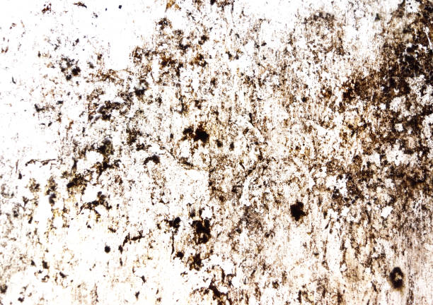 Abstract brown and black stripe on white background, Stains on the glass