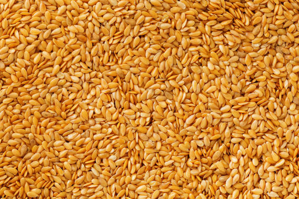 istock Background texture of white flax seeds. Useful cereals. 1145590530