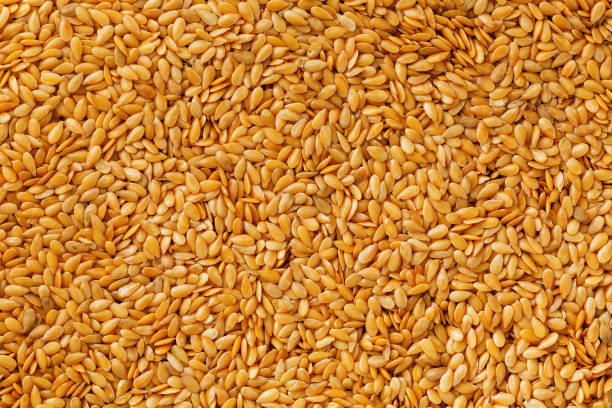 istock Background texture of white flax seeds. Useful cereals. 1145590785