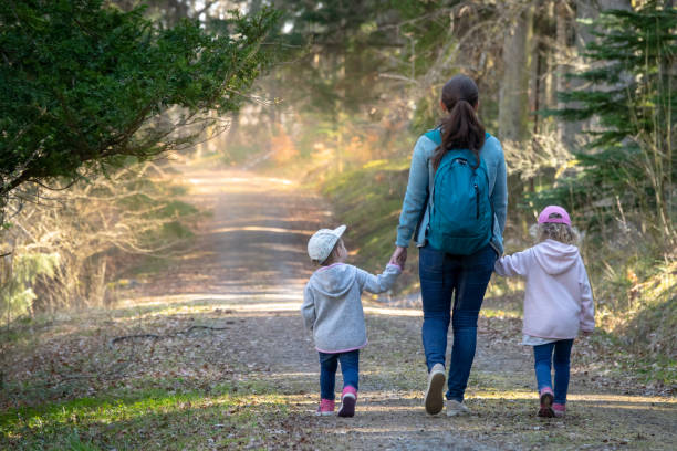Family hiking in the woods. Hiking in the woods. Mother with daughters walking on a path in a sunny forest. Sweden swedish woman stock pictures, royalty-free photos & images