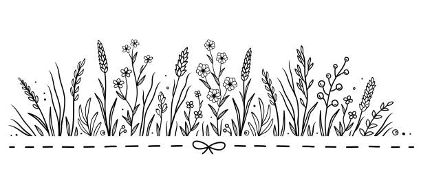 illustrations, cliparts, dessins animés et icônes de motif dessiné à la main avec des fleurs et des herbes - the splits