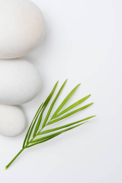 istock Beauty spa and treatment background with light fresh theme 1145606631