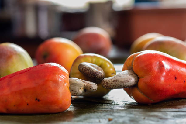 Side view of cashew fruit arranged on a banana leaf along with ripen Mango stock photo