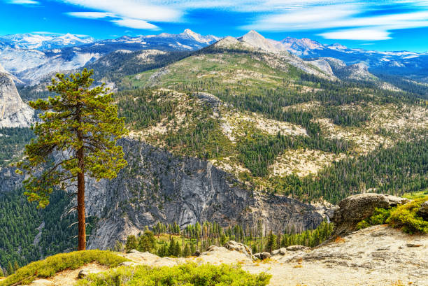 istock Magnificent national American natural park - Yosemite. 1145607857