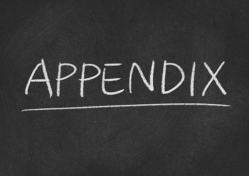 appendix concept word on a blackboard background