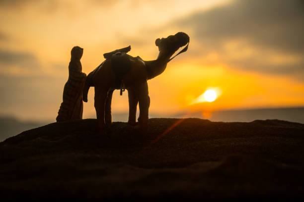 Camel ride around the pyramids of Giza, photographs of camels and their red ornament, sandy and warm-toned landscape. Idyllic scene, with happy and adventurous tourists living the dream of their lives. Cairo, Egypt.