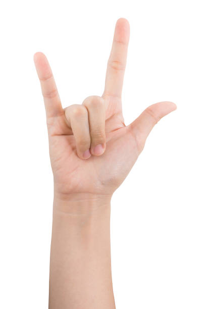 istock various gestures and sign of Woman's hand isolated on white background with clipping path. 1145613867
