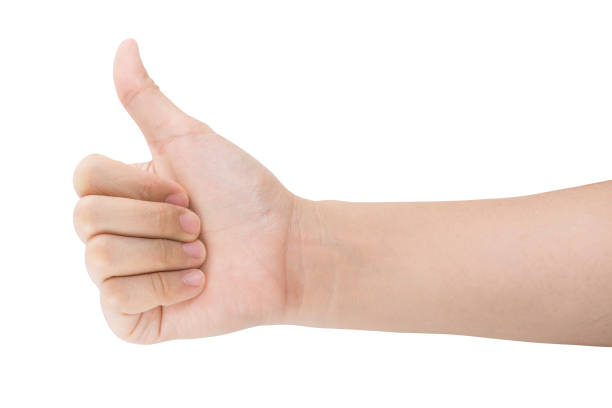 istock various gestures and sign of Woman's hand isolated on white background with clipping path. 1145613909