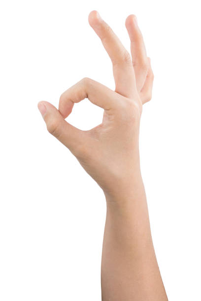 various gestures and sign of Woman's hand isolated on white background with clipping path.