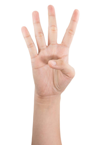 istock various gestures and sign of Woman's hand isolated on white background with clipping path. 1145614007