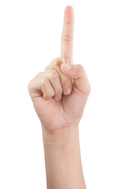 istock various gestures and sign of Woman's hand isolated on white background with clipping path. 1145614037