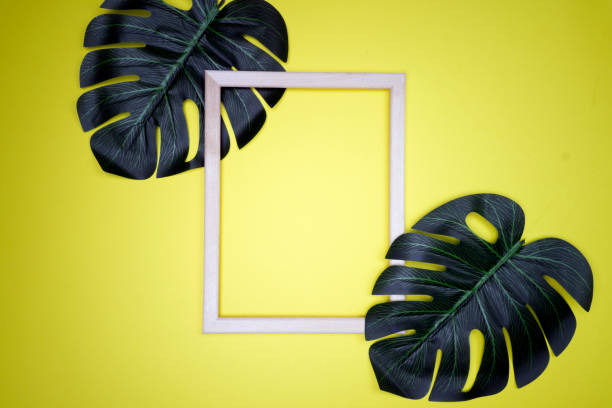istock Summer composition with monstera leaves. Tropical leaves, empty photo frame on pastel yellow background. 1145616887