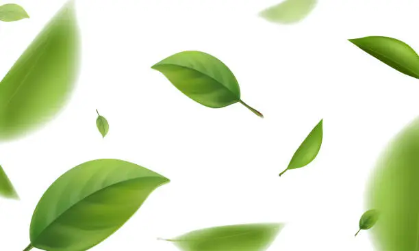 Vector illustration of Blurred green leaves flying in white background, 3d realistic vector illustration.