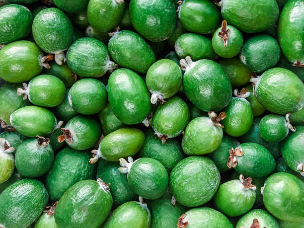 feijoa - feijoas ripe fruit iodine zdjęcia i obrazy z banku zdjęć