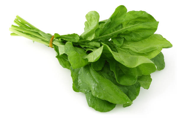 Bunch of fresh rucola isolated on white Bunch of fresh rucola isolated on white background rucola stock pictures, royalty-free photos & images
