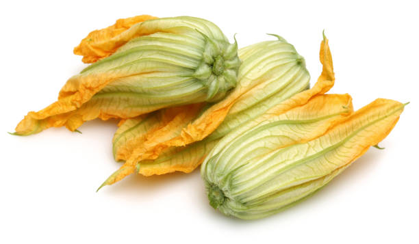 flores de calabaza aisladas en blanco - zucchini flower squash summer fotografías e imágenes de stock