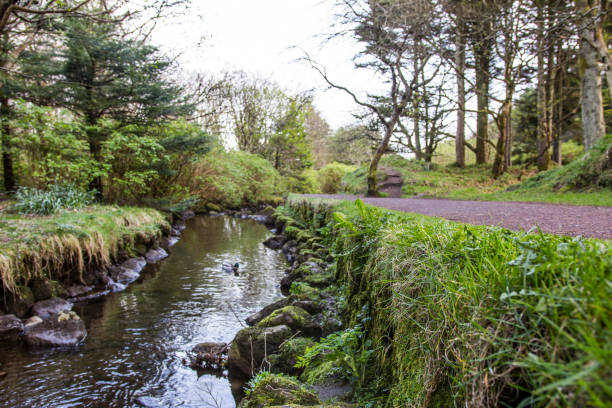 istock A walk in the park 1145623484
