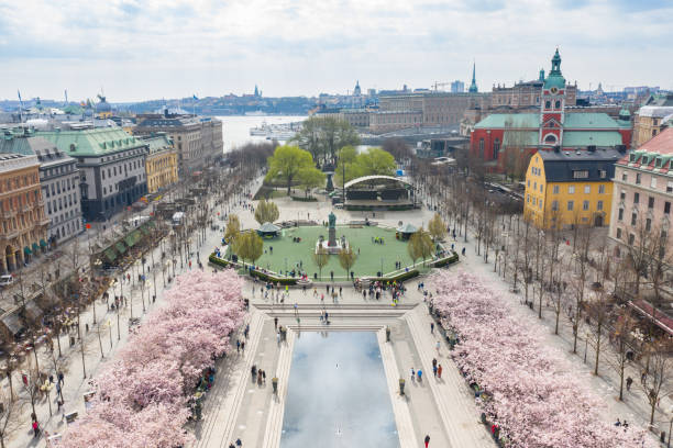 istock First cherry blossom and fountain, Kungstradgarden 1145623536