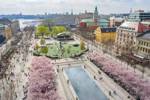 First cherry blossom and fountain, Kungstradgarden