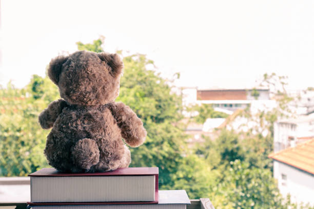 istock A brown teddy bear sitting on  pile book. 1145628071