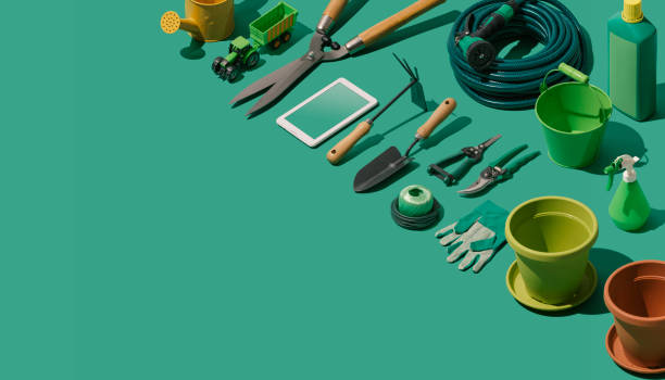 istock Gardening and horticulture tools collection 1145628177