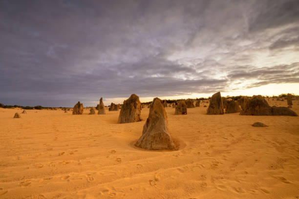 istock Pinnacles Desert, Nambung National Park, Western Australia 1145629751